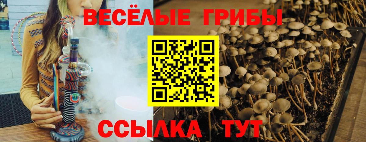 Галлюциногенные грибы мухоморы  Псилоцибиновые грибы мухоморы  Вход с VPN  Бузулук 